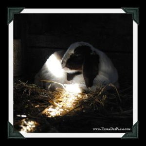 Kidding Around Image